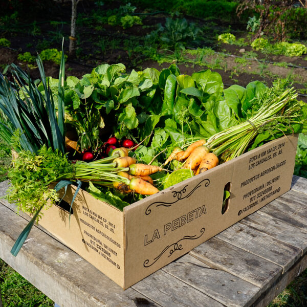Bolsón de verduras orgánicas